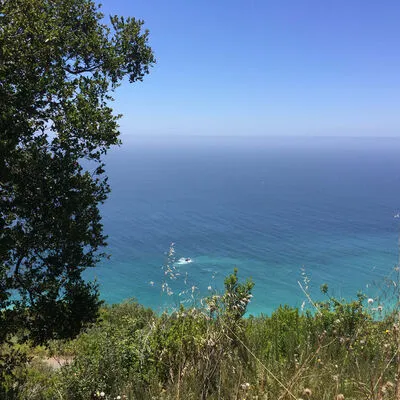 Treebones Resort, Big Sur, CA